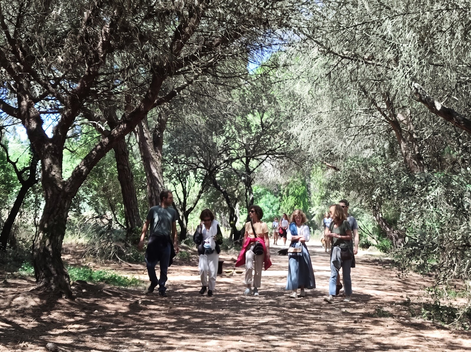 Forests4health group walking slowly along a forest path